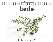 Cover-Bild zum Titel 'Lärche' von 'Emilia Wagner'