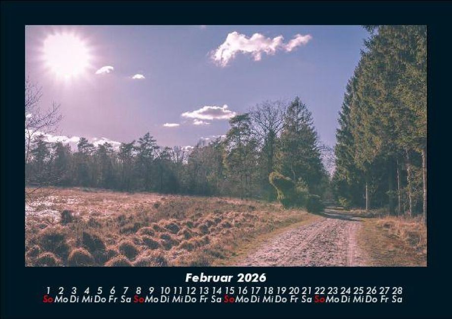 InsideView 6
