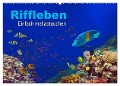 Riffleben - Einfach mal abtauchen (Wandkalender 2025 DIN A2 quer), CALVENDO Monatskalender - Tina Melz