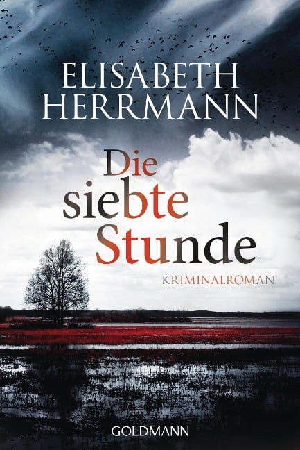 Die siebte Stunde - Elisabeth Herrmann