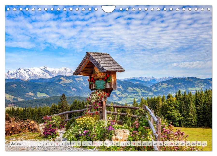 InsideView 12