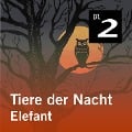 Cover-Bild zum Titel 'Tiere der Nacht: Elefant' von 'Silke Wolfrum'