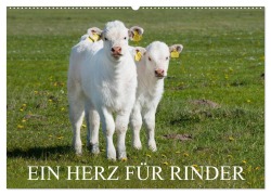 Ein Herz für Rinder (Wandkalender 2026 DIN A2 quer), CALVENDO Monatskalender - Sigrid Starick