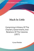 Much In Little - Cyrus Fletcher