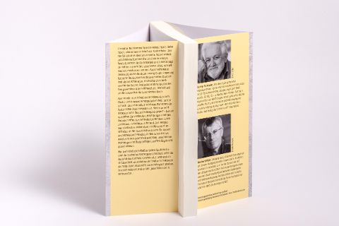 InsideView 2