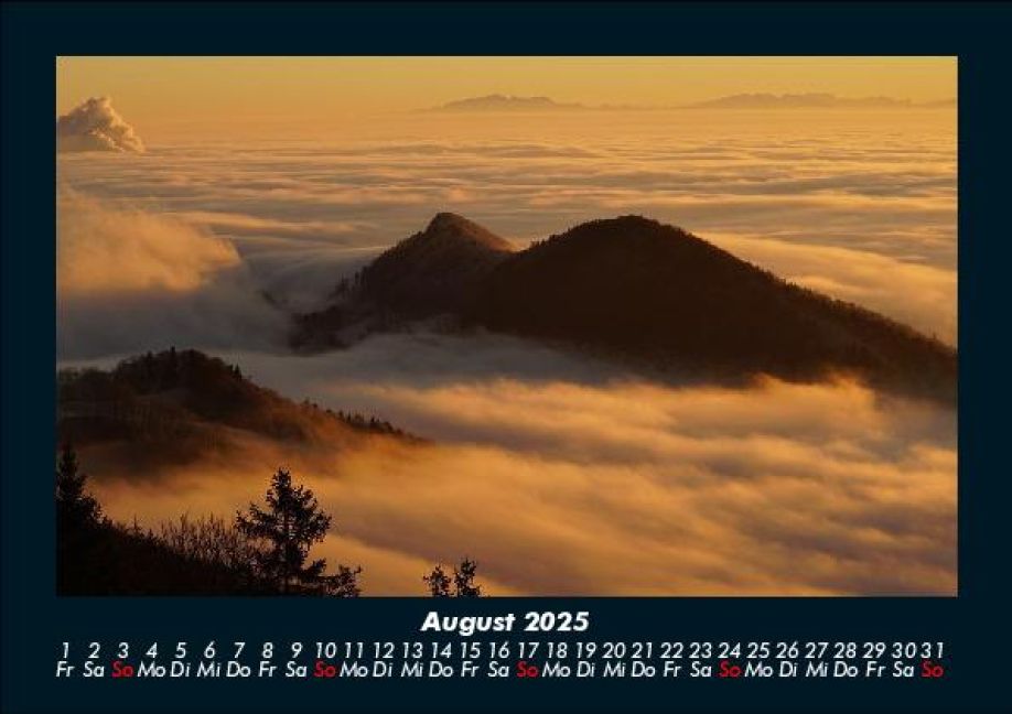 InsideView 12