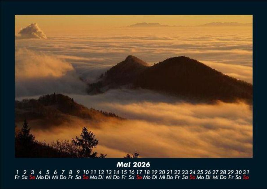 InsideView 9