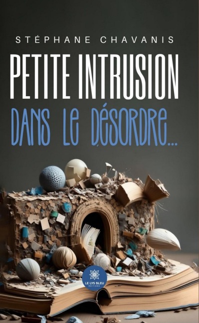 Petite intrusion dans le désordre... - Stéphane Chavanis