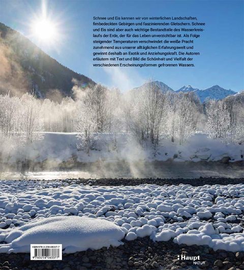 InsideView 5