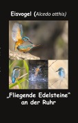 Cover-Bild zum Titel 'Eisvogel (Alcedo atthis)' von 'Fotolulu'