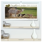 Cover-Bild zum Titel 'Mutterliebe - Ziegen mit ihren süßen Lämmern (hochwertiger Premium Wandkalender 2026 DIN A2 quer), Kunstdruck in Hochglanz' von 'Sabine Löwer'