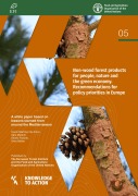 Cover-Bild zum Titel 'Non-Wood Forest Products for People, Nature and the Green Economy. Recommendations for Policy Priorities in Europe: A White Paper Based on Lessons Learned from around the Mediterranean' von 'FAOoftheUN'