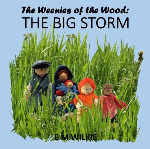 The Big Storm (The Weenies of the Wood Adventures) - E M Wilkie