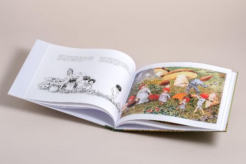 InsideView 7