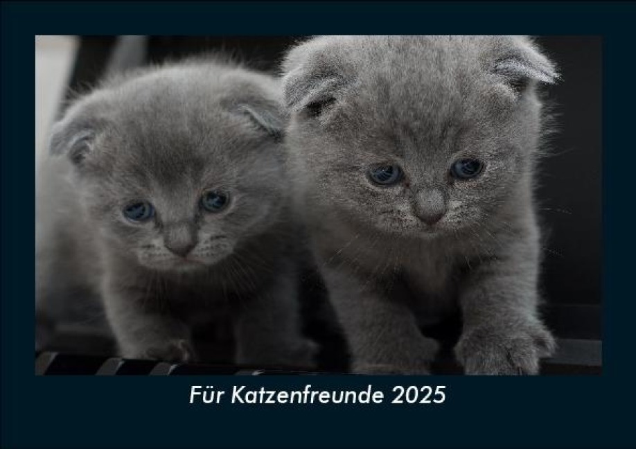 Für Katzenfreunde 2025 Fotokalender DIN A5 - Tobias Becker