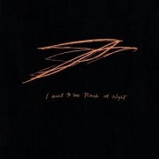 Cover-Bild zum Titel 'I Want to See Pulaski at Night' von 'Andrew Bird'