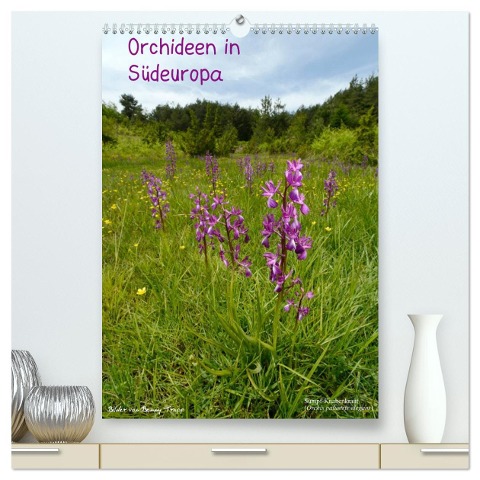 Orchideen in Südeuropa (hochwertiger Premium Wandkalender 2025 DIN A2 hoch), Kunstdruck in Hochglanz - Benny Trapp