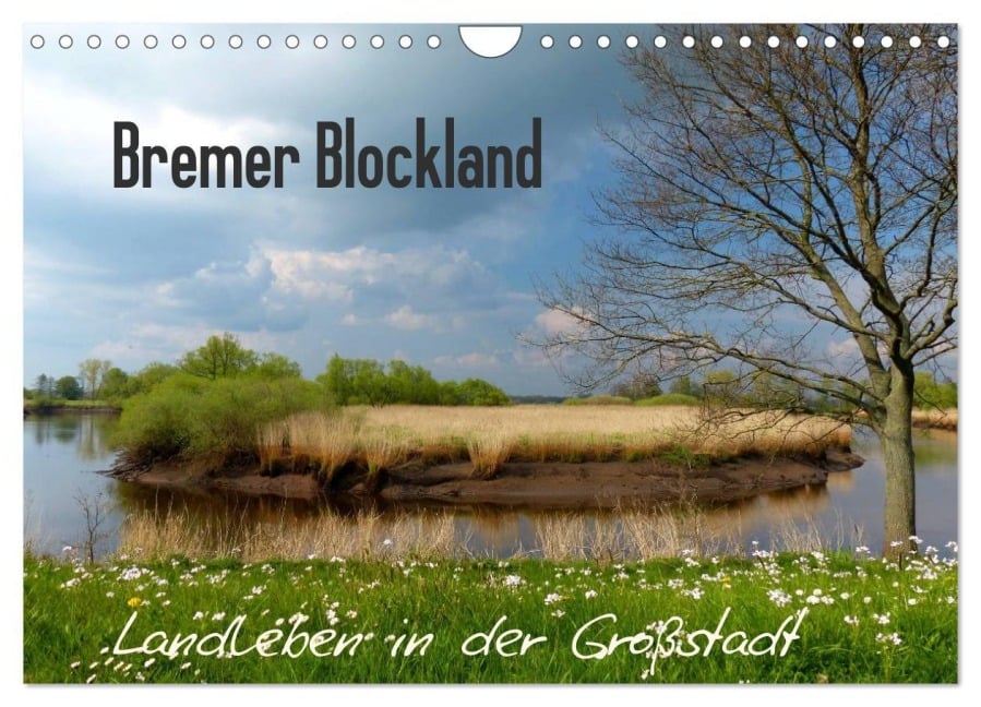 Bremer Blockland - Landleben in der Großstadt (Wandkalender 2025 DIN A4 quer), CALVENDO Monatskalender - Lucy M. Laube