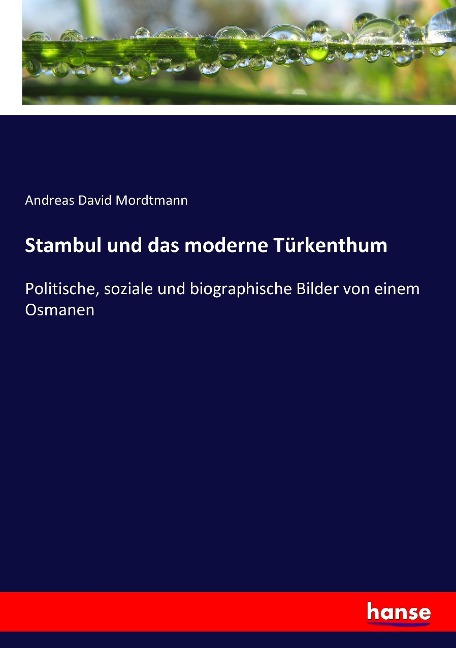 Stambul und das moderne Türkenthum - Andreas David Mordtmann