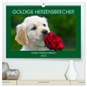 Cover-Bild zum Titel 'Goldige Herzensbrecher - Golden Retriever Welpen (hochwertiger Premium Wandkalender 2026 DIN A2 quer), Kunstdruck in Hochglanz' von 'Sigrid Starick'