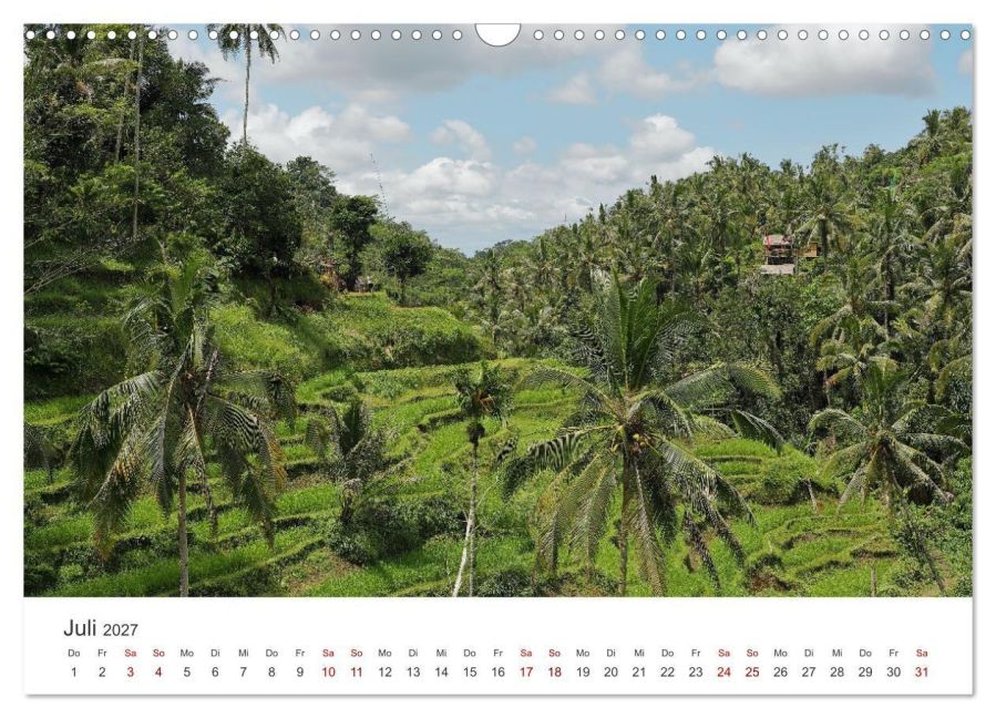 InsideView 12