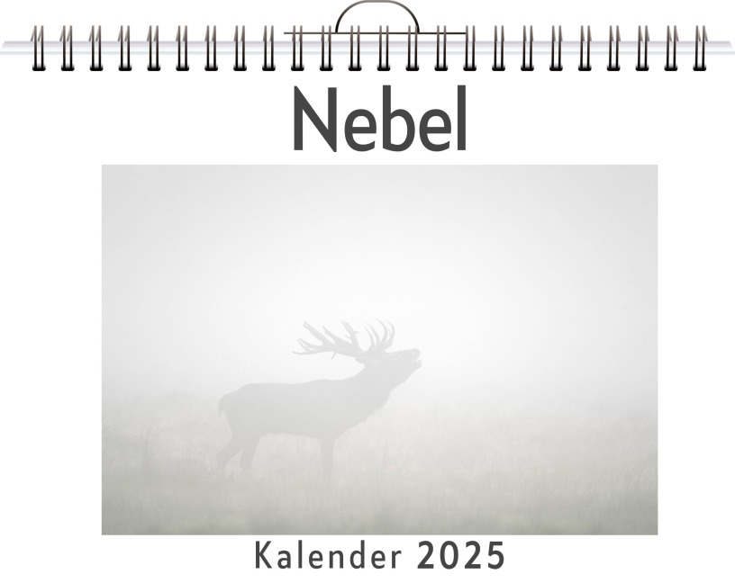 Nebel - Alice Werner