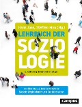 Cover-Bild zum Titel 'Soziale Ungleichheit und Sozialstruktur' von 'Steffen Mau, Roland Verwiebe'