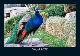 Cover-Bild zum Titel 'Vögel 2027 Fotokalender DIN A5' von 'Tobias Schmitt, Kevin Heber'