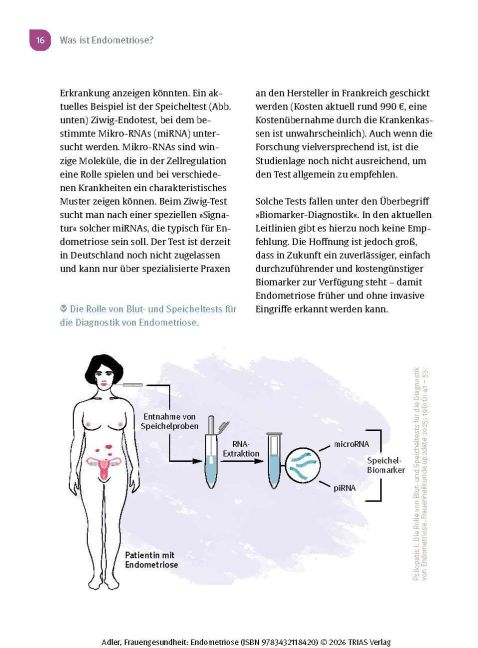 InsideView 11