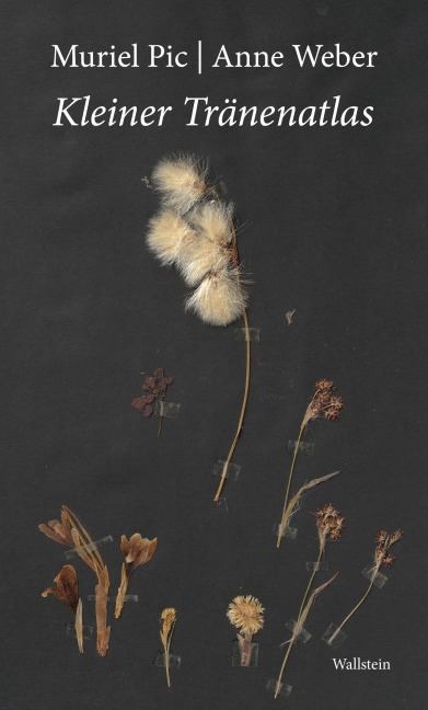 Kleiner Tränenatlas - Muriel Pic, Anne Weber