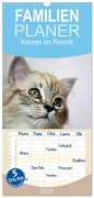Familienplaner 2026 - Katzen im Porträt / Geburtstagskalender mit 5 Spalten (Wandkalender, 21 x 45 cm) CALVENDO - Jennifer Chrystal