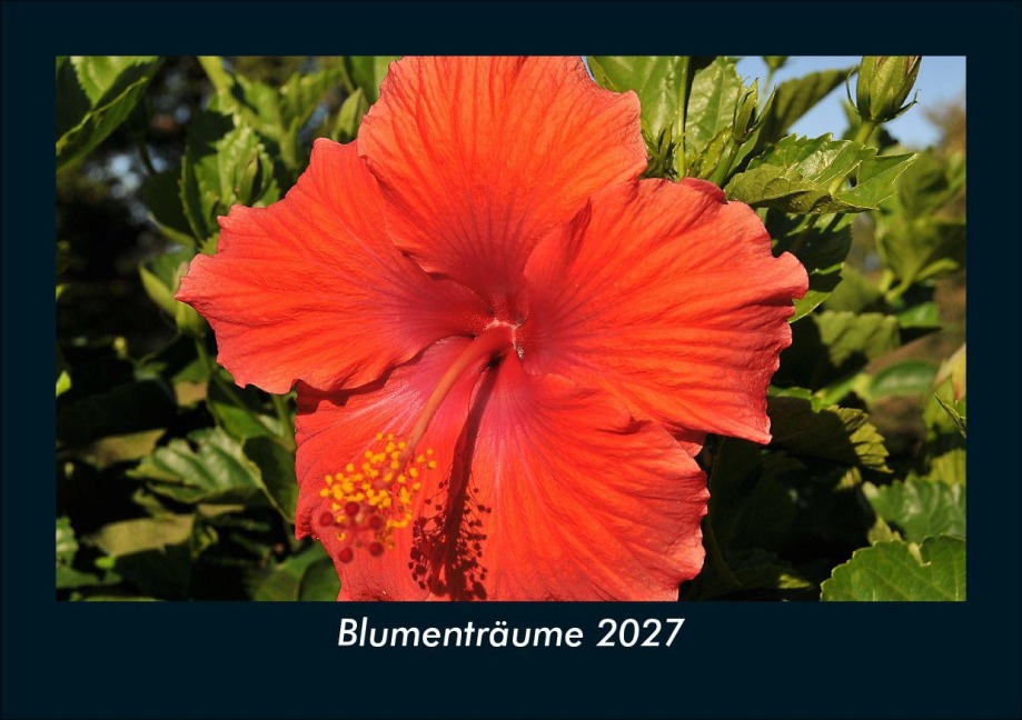 Blumenträume 2027 Fotokalender DIN A5 - Tobias Schmitt, Kevin Heber