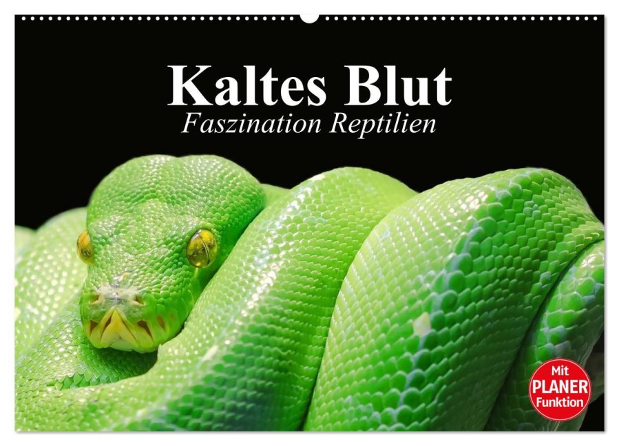 Kaltes Blut. Faszination Reptilien (Wandkalender 2025 DIN A2 quer), CALVENDO Monatskalender - Elisabeth Stanzer