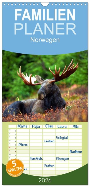 Familienplaner 2026 - Norwegen mit 5 Spalten (Wandkalender, 21 x 45 cm) CALVENDO - Elisabeth Stanzer