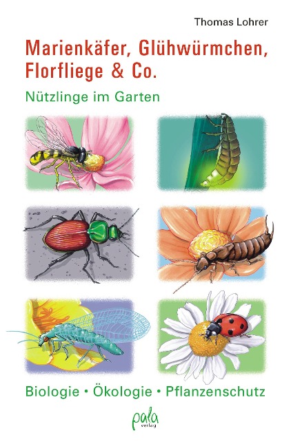 Marienkäfer, Glühwürmchen, Florfliege & Co. - Thomas Lohrer