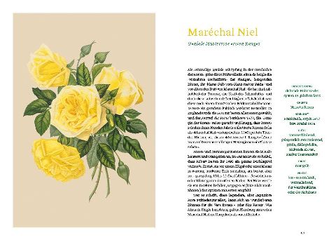 InsideView 8