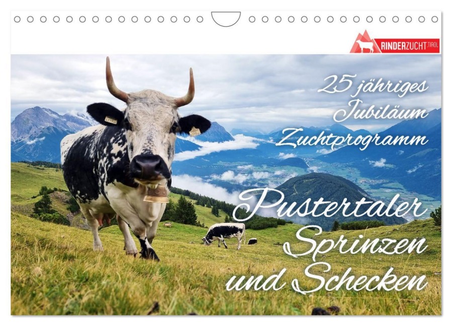 Pustertaler Sprinzen und Schecken in Österreich (Wandkalender 2025 DIN A4 quer), CALVENDO Monatskalender - Iris Schrattbauer