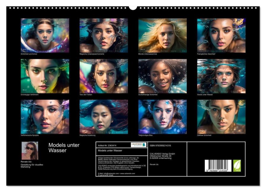 InsideView 4