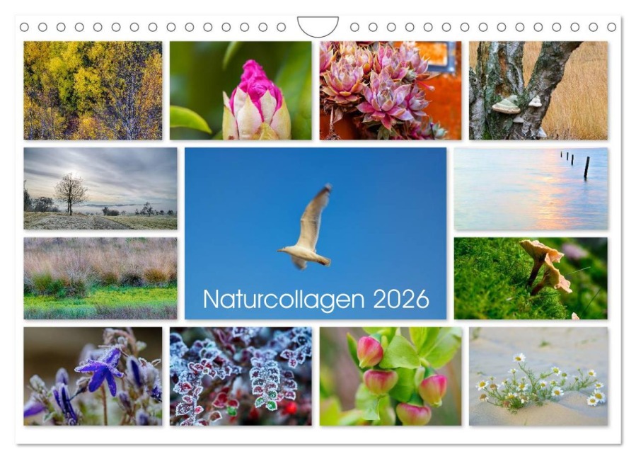 Naturcollagen 2026 (Wandkalender 2026 DIN A4 quer), CALVENDO Monatskalender - Christine Nöh