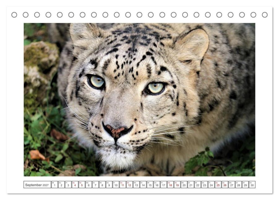 InsideView 14
