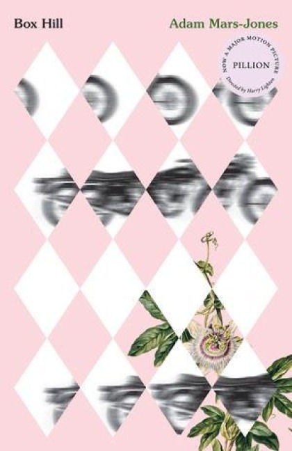 Box Hill - Adam Mars-Jones