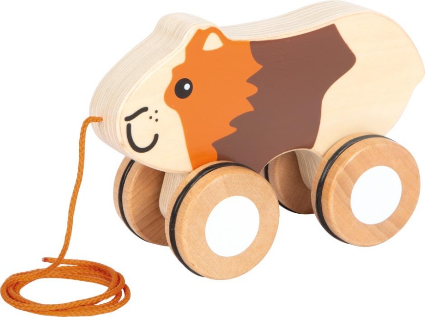Nachziehtier Meerschweinchen - 