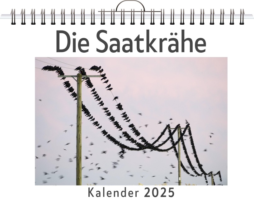 Die Saatkrähe - Julian Meier