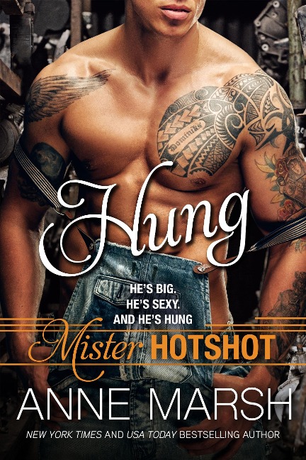 Hung (Mister Hotshot, #1) - Anne Marsh
