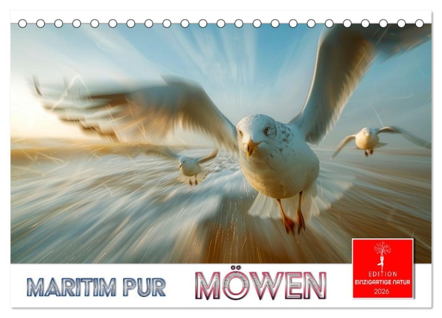 Maritim pur - Möwen (Tischkalender 2026 DIN A5 quer), CALVENDO Monatskalender - Peter Roder