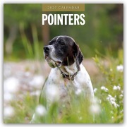 Cover-Bild zum Titel 'Pointers - Vorstehhund - Pointer 2027 - 16-Monatskalender' von 'Robin Red'