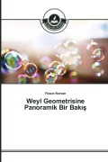 Cover-Bild zum Titel 'Weyl Geometrisine Panoramik Bir Bak¿¿' von 'Füsun Nurcan'