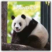 Cover-Bild zum Titel 'Pandas - Pandabären 2027 - 16-Monatskalender' von 'Robin Red'