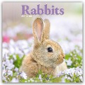 Rabbits - Kaninchen 2025 - 16-Monatskalender - Avonside Publishing Ltd