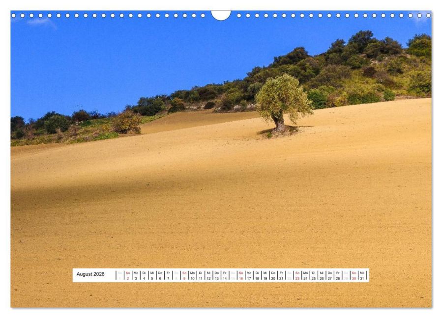 InsideView 13